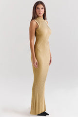 gold metallic maxi dress