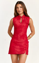 Atalia Mini Dress Mandarin Collar Jacquard A Line Dress in Red