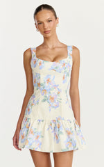 Astra Mini Dress Balconette Bodice Drop Waist Dress in Astra Posey Floral Print