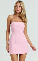 Catharine Mini Dress Strapless A Line Dress in Pink