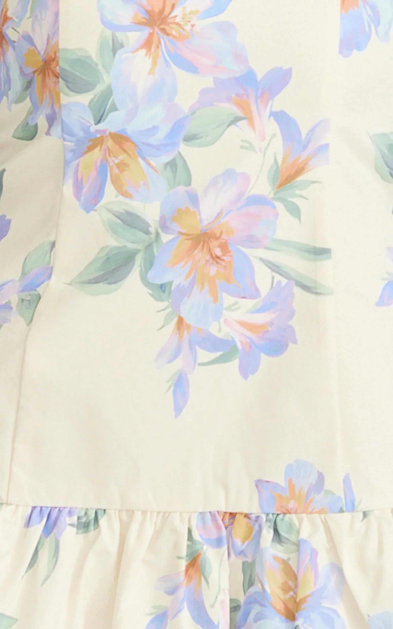 Astra Mini Dress Balconette Bodice Drop Waist Dress in Astra Posey Floral Print