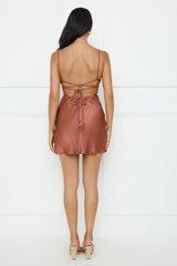 Roxana Satin Mini Dress Brown
